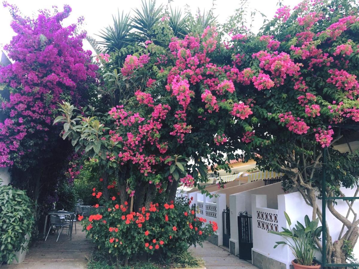 Hotel Antonio Conil 콘일데라프론테라 외부 사진